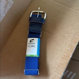 Blue Belt with Elegant Metal Buckle